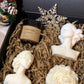 Gift Box For Her