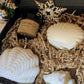 Gift Box Sea